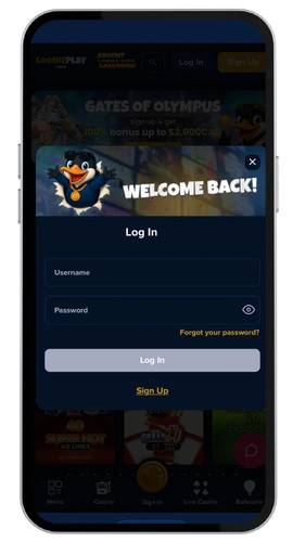 Loonie Casino connexion 